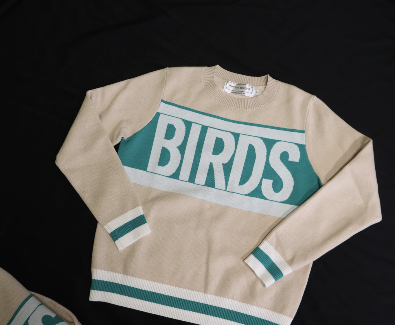 Primitive Boutique “BIRDS” Varsity Sweater