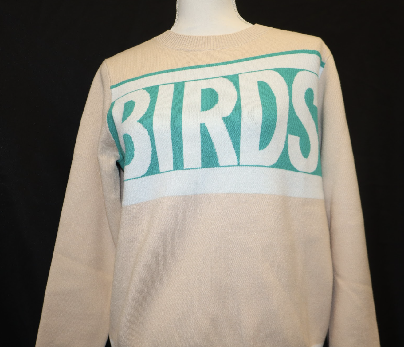 Primitive Boutique “BIRDS” Varsity Sweater - Image 3